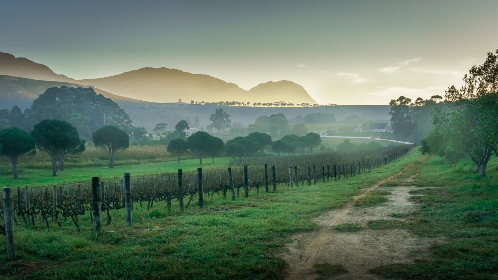 Chris Waite - Day break in Hemel en Aarde valley