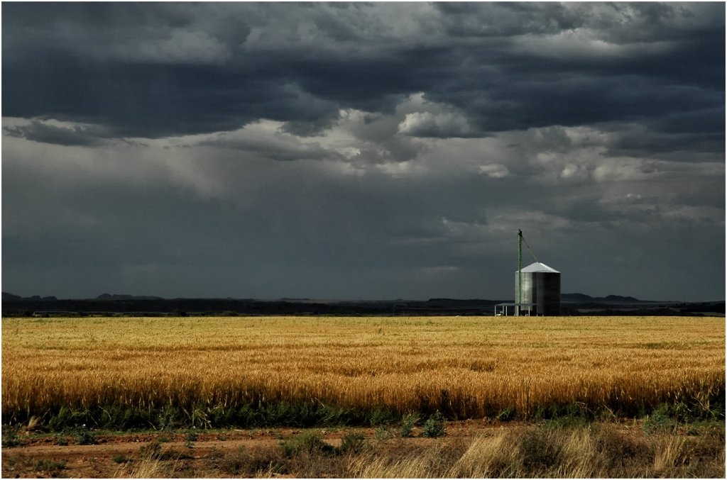 Daniel Reddie - The approaching Storm