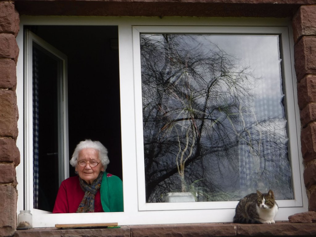 Almut hoffmeyer - On the lookout