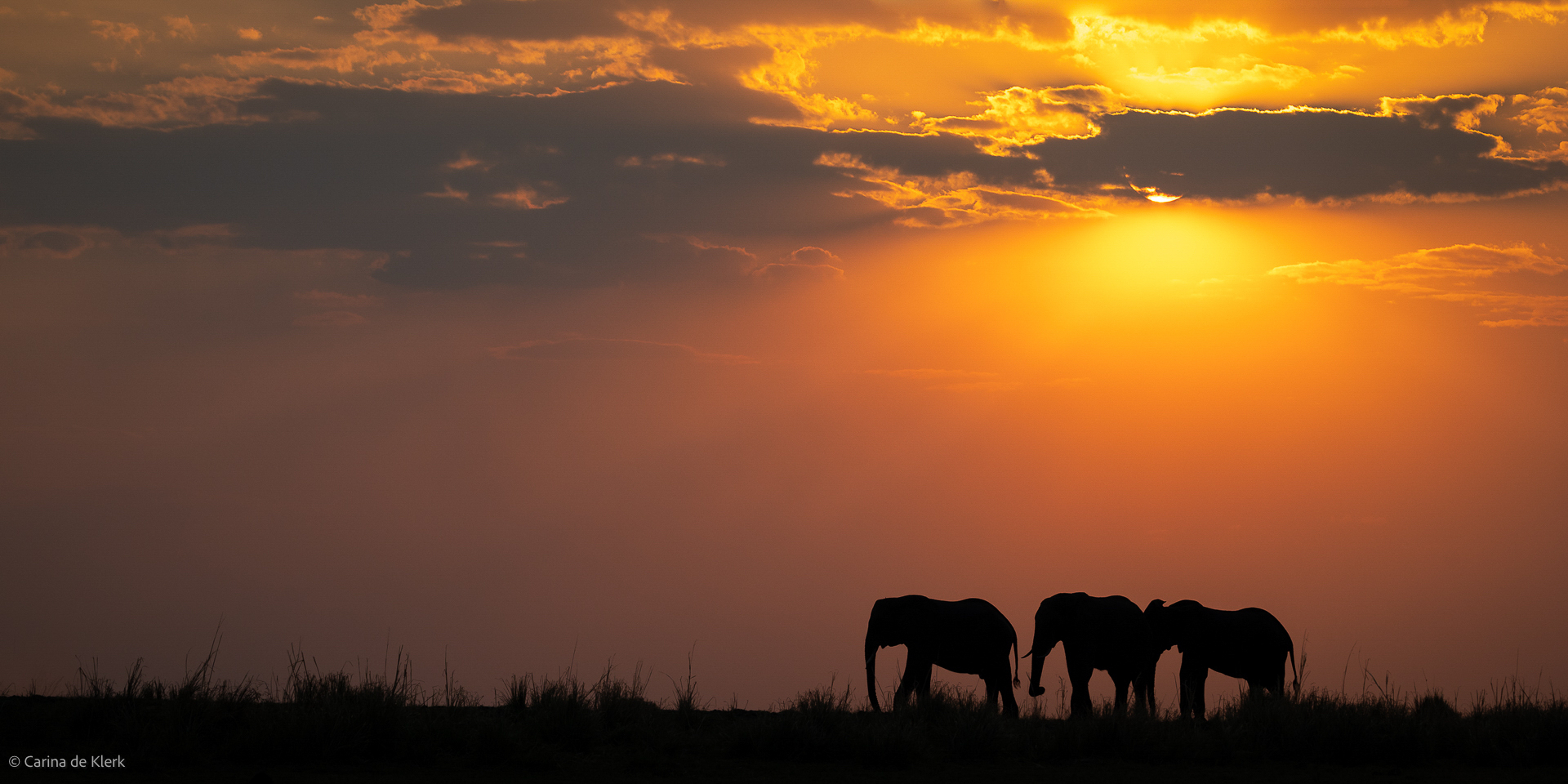 S-001-1932641-African skies