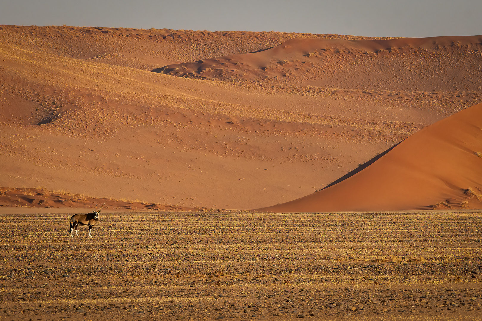 Desert time © Victor Korsten